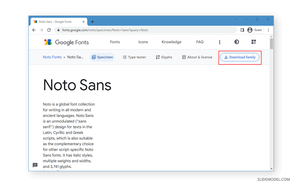 Descargar familia de fuentes de Google Fonts